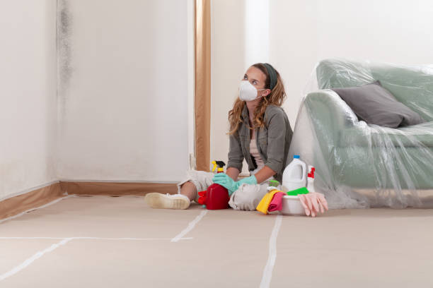 Reliable Mold Cleanup contractor in South Hackensack, NJ by Cheap Mold Removal